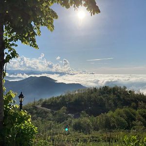 Zarha Mountain Resort